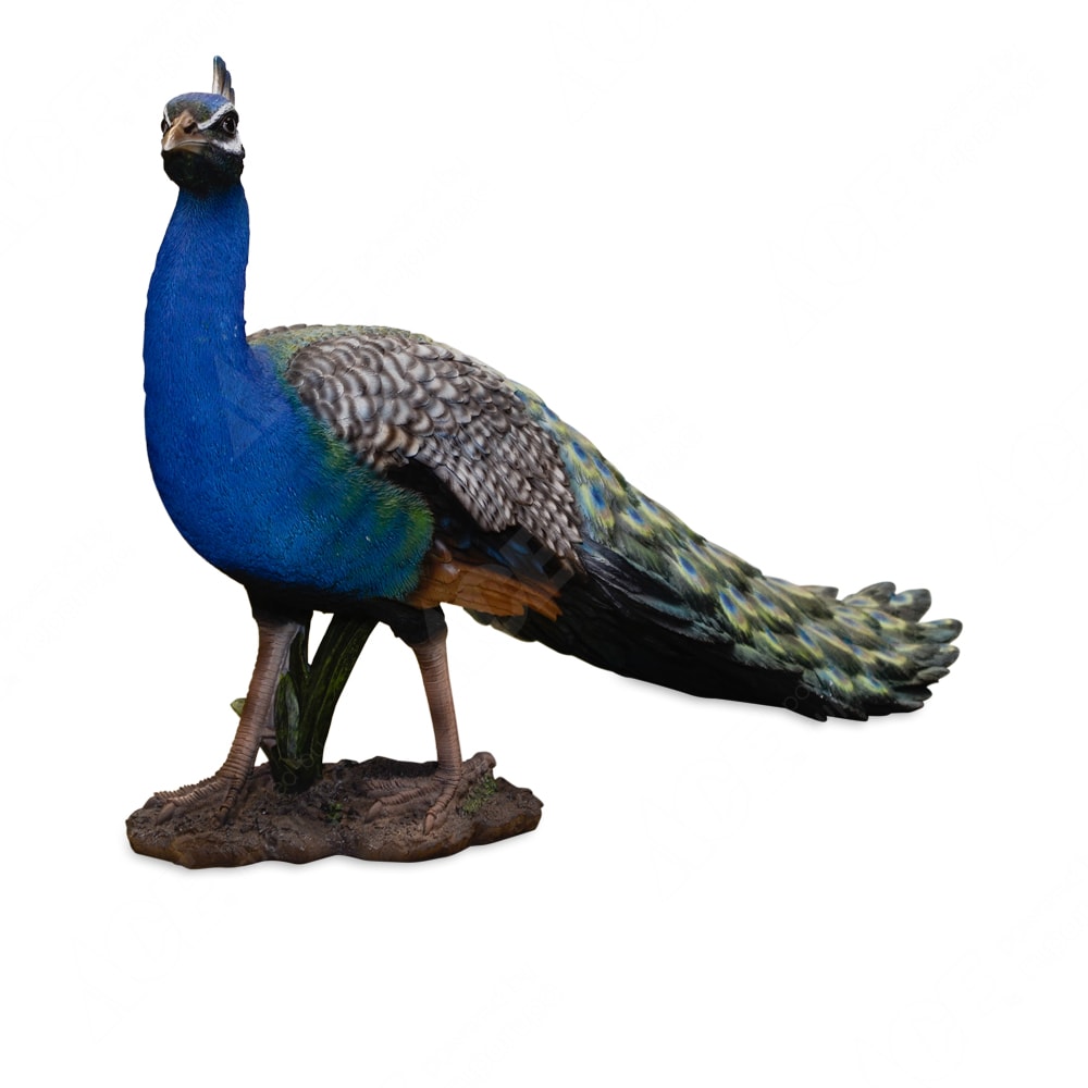 Jual Patung Taman Burung Merak Original Ace