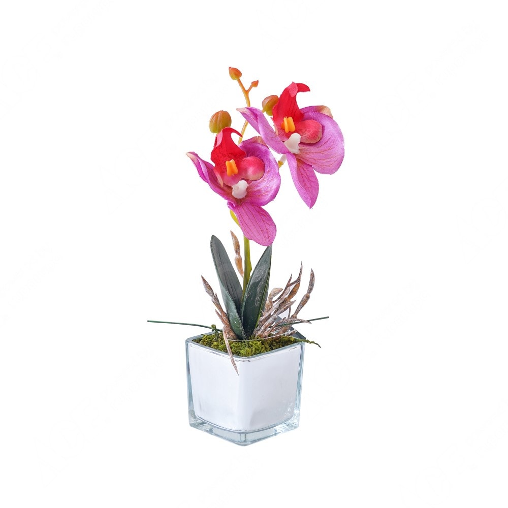 Bunga Daisy Artifisial Dengan Pot Magenta - Smarts4k.com ...