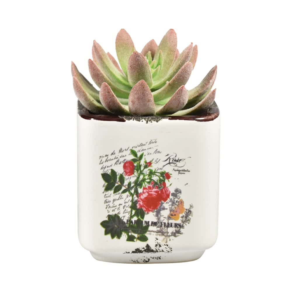 Jual Arthome Tanaman Artifisial Agave Terbaik | Informa