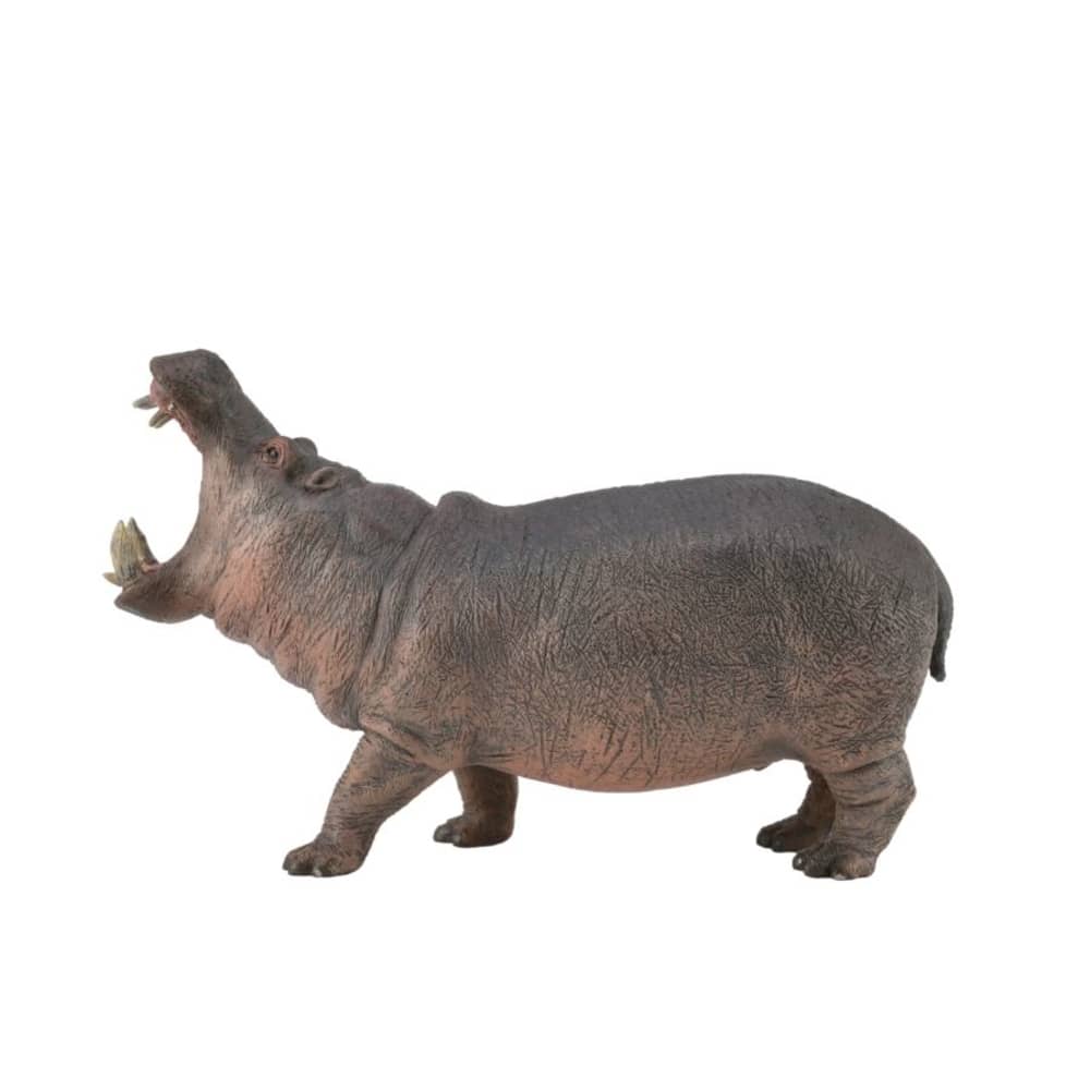 Jual Collecta Mainan Figure Hippopotamus 88833 Terbaru Ruparupa