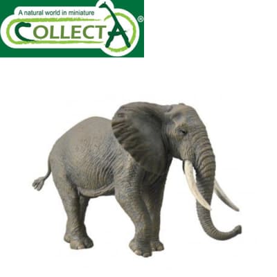 CollectA Leopardo Africano | Figura Realistica Dipinta A Mano | 88866 | Giocattolo Educativo Per Bambini E Collezionisti
