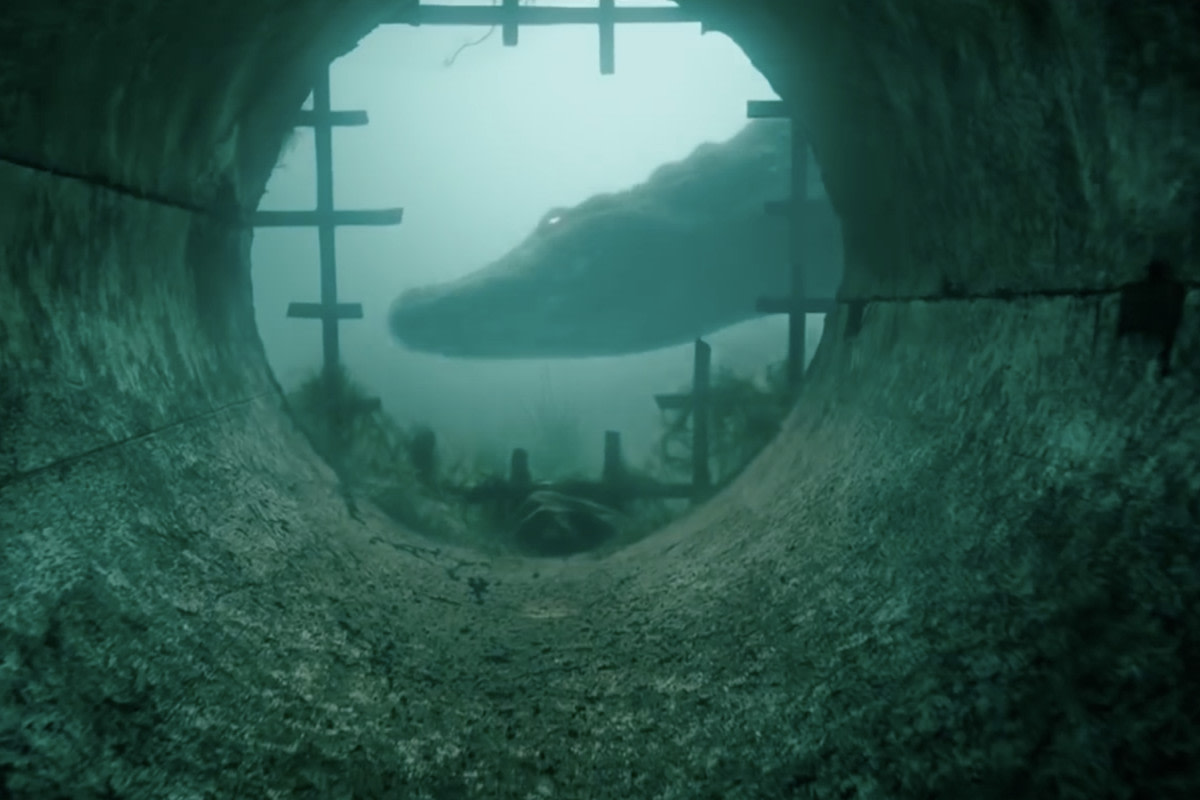 crawl 2019