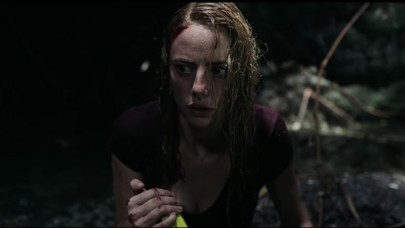 crawl 2019