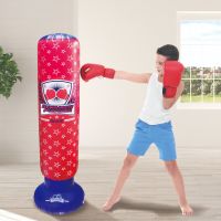 Gambar Paso Boxing Bag 62202