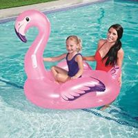 Gambar Bestway Ban Renang Anak Flamingo