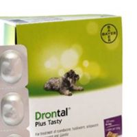 Gambar Bayer Obat Cacing Anjing Drontal Plus Tasty