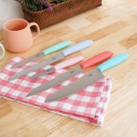 Gambar Cooking Color Set 6 Pcs Hayes Pisau Dapur Dengan Block Penyimpanan