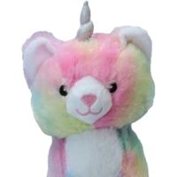 Gambar Pawise Mainan Anjing Boneka Rainbow World Cat