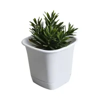 clover-14-cm-pot-tanaman-persegi---putih