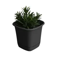 clover-14-cm-pot-bunga-persegi---hitam