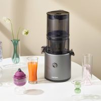 Gambar Hurom Slow Juicer H-300e - Abu-abu Titanium