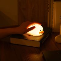 Gambar Informa Lampu Tidur 7 Warna Duck