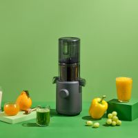 Gambar Hurom Slow Juicer H310a - Charcoal