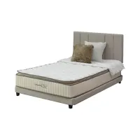 informa-sleep-160x200x26-cm-maxtine-kasur-pocket-springbed