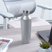 Gambar Appetite 500 Ml Darya Botol Vacuum Flask - Abu-abu