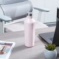 appetite-500-ml-darya-botol-vacuum-flask---pink