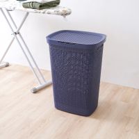 Gambar Ezy Storage 44.1x34.7x61.7 Cm Keranjang Laundry Mode - Biru