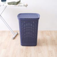 Gambar Ezy Storage 44.1x34.7x61.7 Cm Keranjang Laundry Mode - Biru