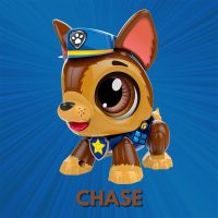 Gambar Nickelodeon Build A Bot Paw Patrol Skye