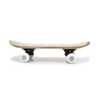 berwyn-papan-skateboard-double-kick-flat-y17-24