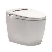 acroz-kloset-duduk-smart-toilet-monoblock-siphonic-wa750za