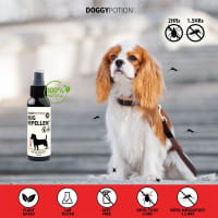 doggy-potion-100-ml-pembasmi-serangga-spray