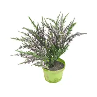 bunga-artifisial-30-cm-lavender-dengan-pot