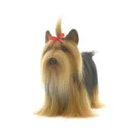 hansa-boneka-domestic-yorkshire-terrier-38-cm