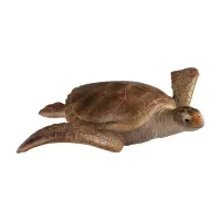 recur-figure-turtle-rc16042s