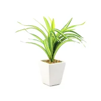 tanaman-artifisial-dracaena-dengan-pot-22-cm