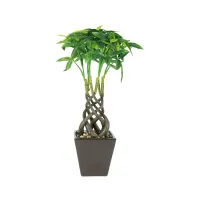 arthome-45-cm-tanaman-artifisial-pachira-dengan-pot