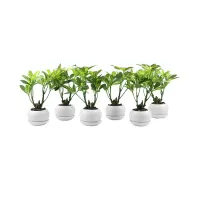 tanaman-artifisial-schefflera-dengan-pot-24-cm