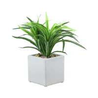 tanaman-artifisial-dracaena-dengan-pot-25-cm