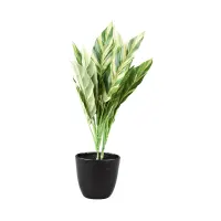 kris-garden-35-cm-tanaman-artifisial-aglaonema-maria