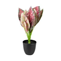 kris-garden-35-cm-tanaman-artifisial-aglaonema-lady-valentine