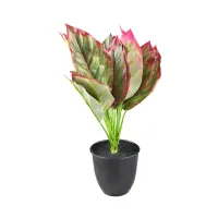 kris-garden-35-cm-tanaman-artifisial-aglaonema-siam-aurora