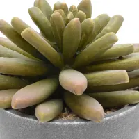 informa-tanaman-artifisial-plant-in-pot-3m-13x13x15.5-cm---hijau