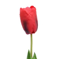 arthome-47-cm-bunga-artifisial-tulip-single---merah