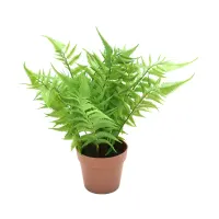 informa-tanaman-artifisial-dengan-pot-l1-18x18x32-cm