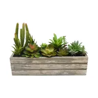 informa-tanaman-artifisial-plant-in-box-r15-32x13x20-cm