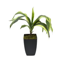 kris-garden-55-cm-tanaman-artifisialdracaena