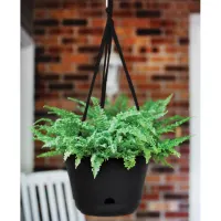 bloem-lucca-pot-tanaman-gantung-living-green-33-cm