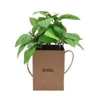 arthome-14-cm-tanaman-artifisial-basil-in-paper-bag