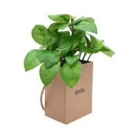 arthome-14-cm-tanaman-artifisial-basil-in-paper-bag