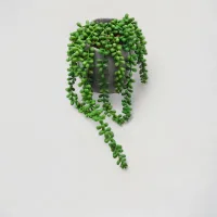arthome-18-cm-tanaman-artifisial-bean-leaf-dengan-pot-mache
