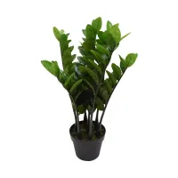 informa-tanaman-artifisial-zamiifolia-50x50x64-cm
