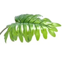 arthome-83-cm-tanaman-artifisial-daun-monstera---hijau