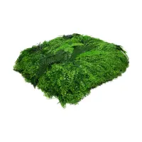kris-garden-rumput-artifisial-dinding-polypodiales---hijau