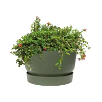 elho-greenvile-bowl-pot-tanaman-33-cm---hijau