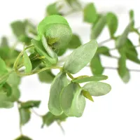 arthome-84-cm-bunga-artificial-eucalyptus---hijau